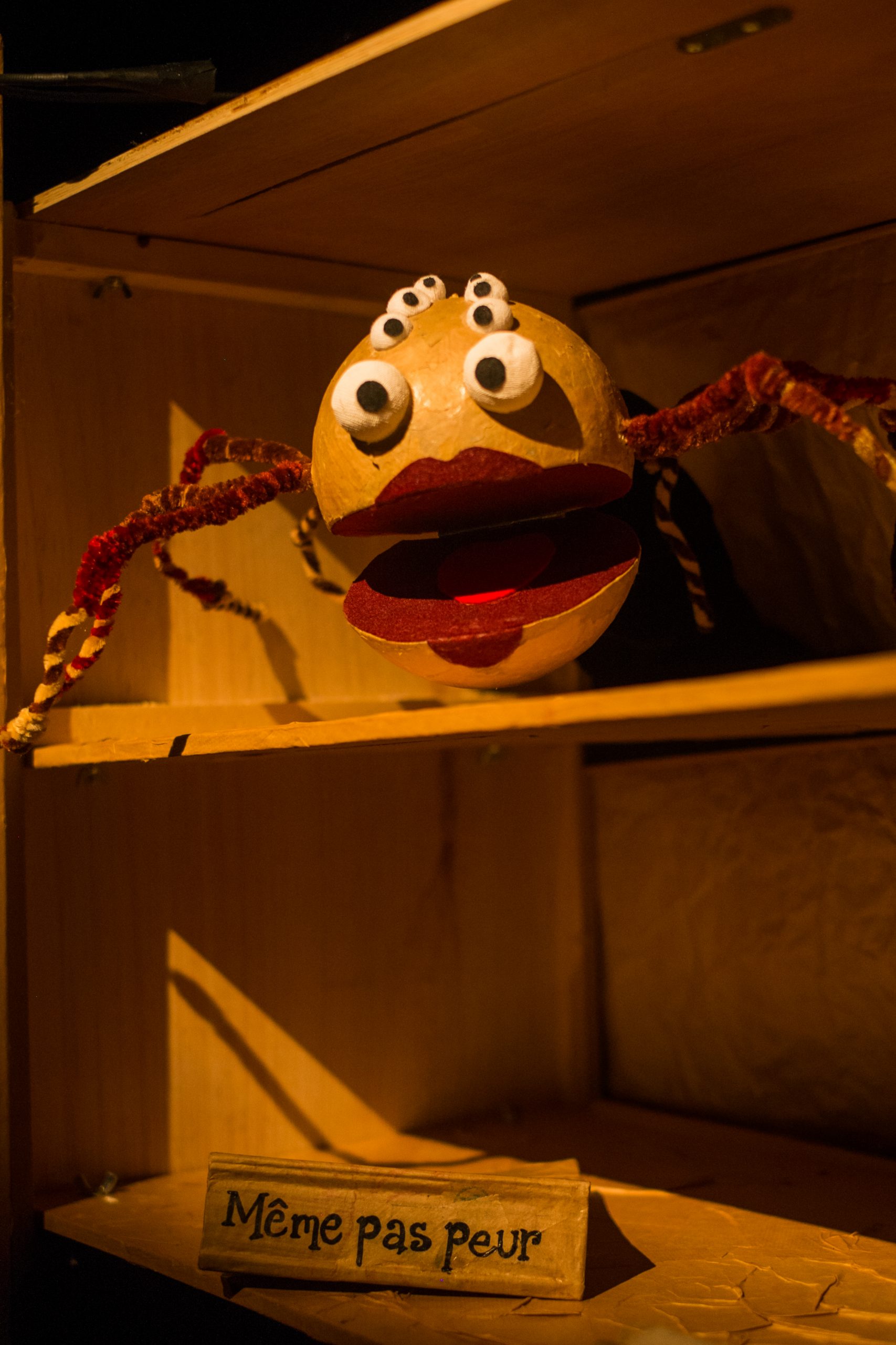 Une petite créature orange aux multiples yeux dans sa boîte.